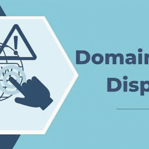 Domain name disputes
